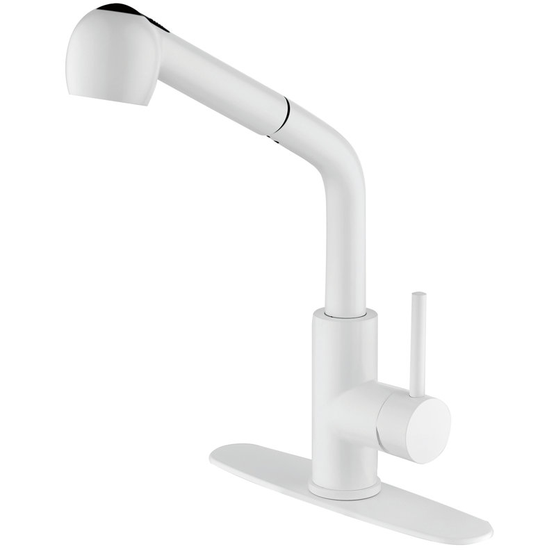 Fapully Pull Out Kitchen Faucet