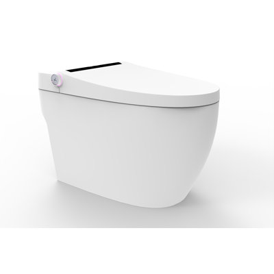Toilette allongée une pièce 1,28 GPF (économe en eau) (siège inclus)