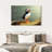 Brampt Proud Puffin-108127122