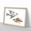 Grey Fluff Tits by Johan Teyler - Picture Frame Painting Print-55736200-55736201