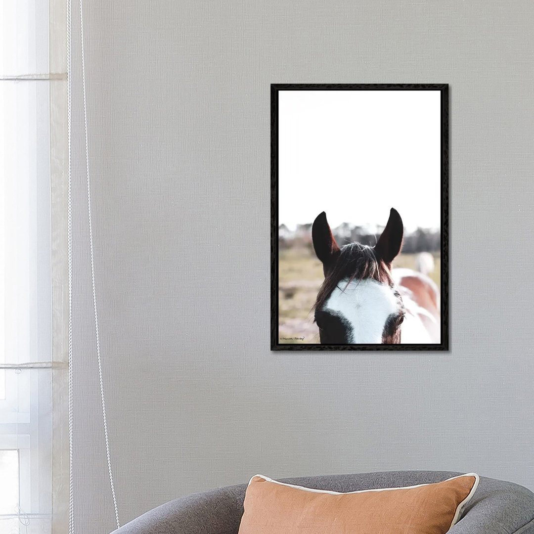 Peek-A-Boo Horse - Print on Canvas