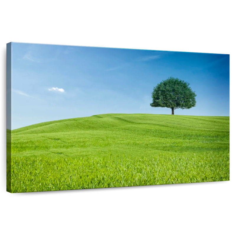 Colline et arbre toscan Alvord, H 8 po x l 12 po