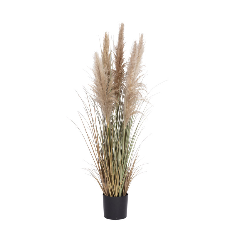 60 po Faux herbe de pampa