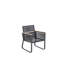 Wanamie Patio Dining Armchair with Cushion
