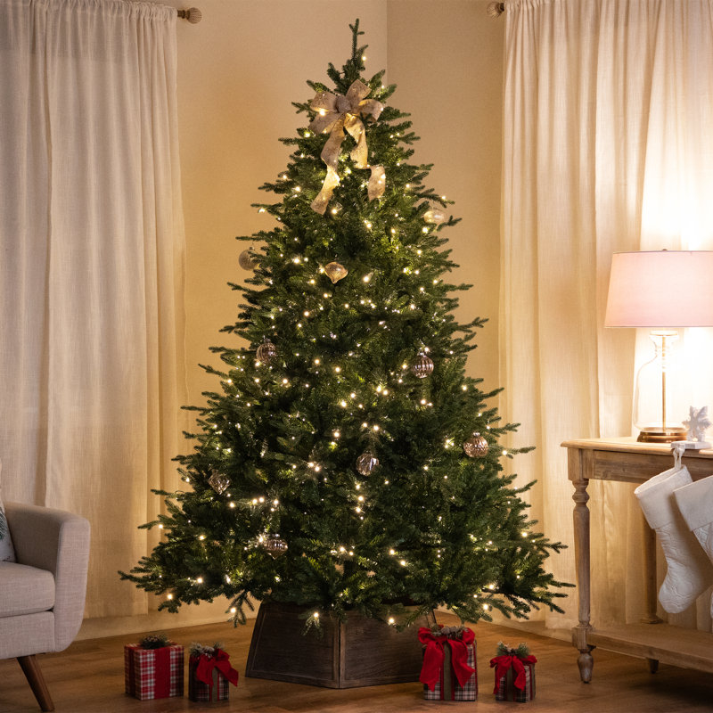 Real Touch Pre-Lit Cumberland Pine Artificial Christmas Tree - Warm White LED, 6.5'