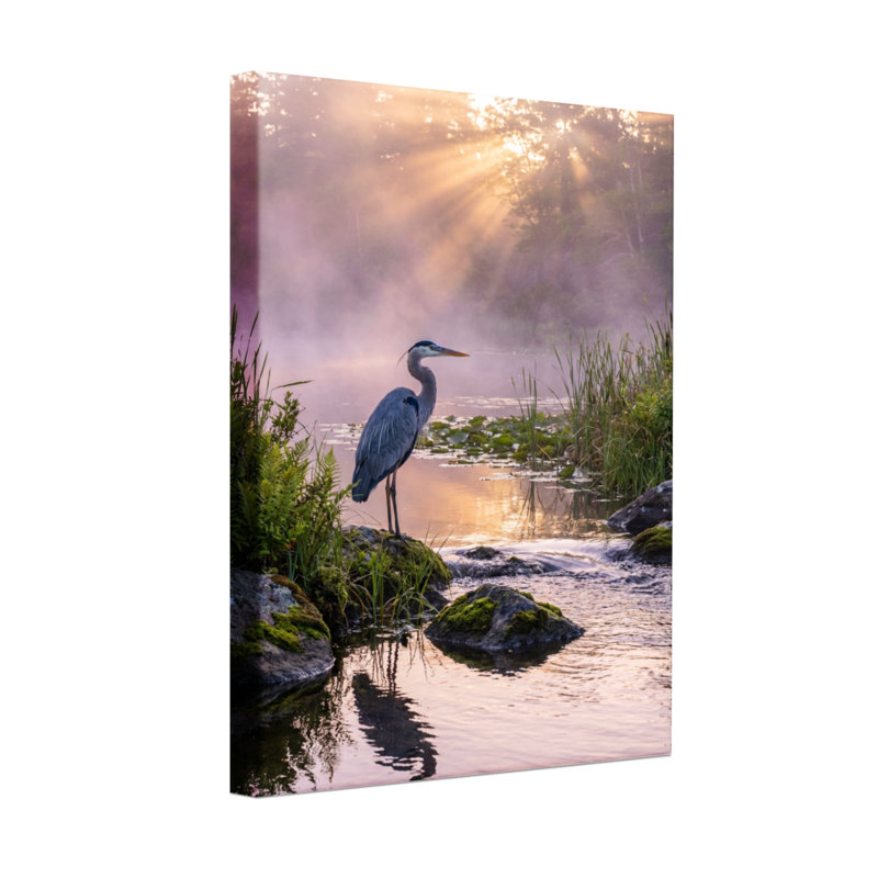 Animaux, lever du soleil, héron, eau, reflet, nature, paysage, matin brumeux, scène paisible, H 40 po x l 28 po