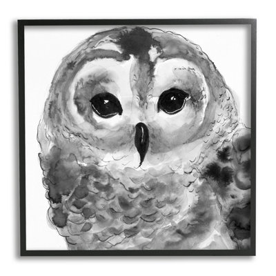 Tranquil Barn Owl