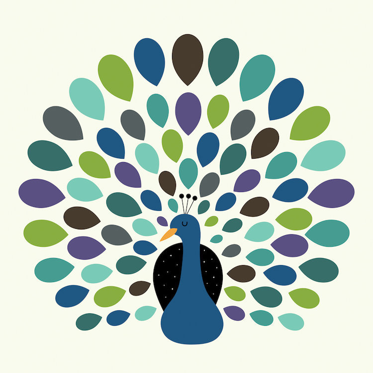 « peacock time »-impression sur toile, H 12 po x l 12 po x P 0,75 po, Toile