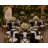 The Folding Tablecloth 60 inch round-394190824