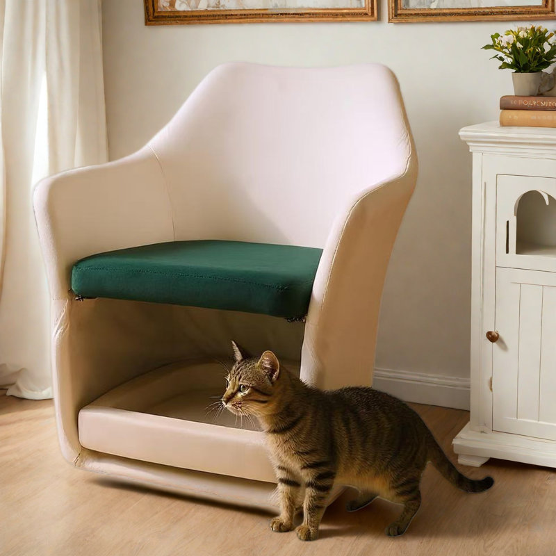 Chaise d'appoint moderne 2 en 1 avec base amovible pour animaux de compagnie