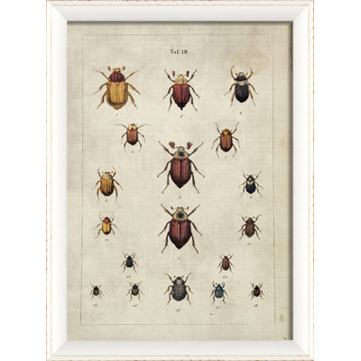 Beetles Farmhouse / Country