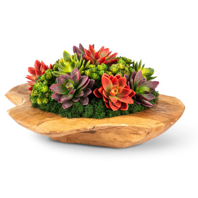 Mojave Wooden Bowl Succulent Arrangement
