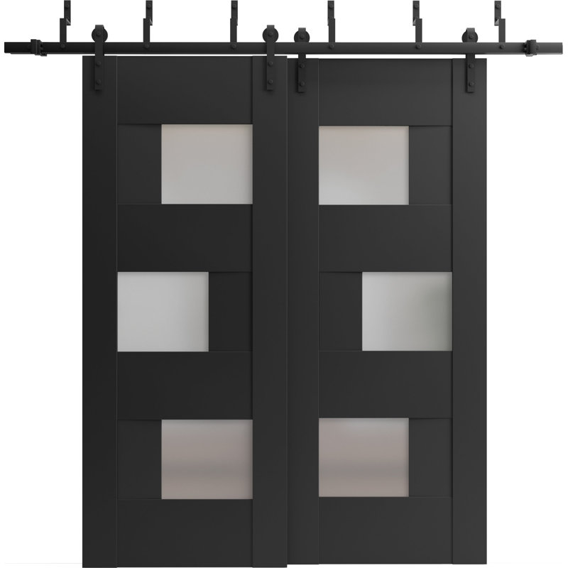 Portes de grange en bois givré Sete, Noir, 48 po x 80 po