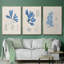 Algues bleu marine VI-91887795-91887796