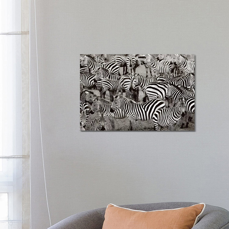 Zebra Abstraction by Jorge Llovet - Wrapped Canvas Print, 66.04 cm H x 45.72 cm W x 1.91 cm D