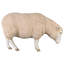 Statue tête de mouton Merino Ewe