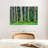" Eucalyptus Rainbow Trees "-1511611482