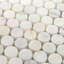 Calacatta Penny Rounds Polished Marble Tile