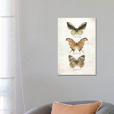 Butterflies IV by Mike Koubou - Print on Canvas