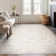 Ellen Traditional Oriental Gray Polyester Area Rug