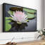 Floral et botanique «Lotus rose blanc»-101780692