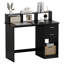 Raedon Computer Desk-664397159