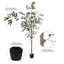 Arbre en pot Winnetka-27703841