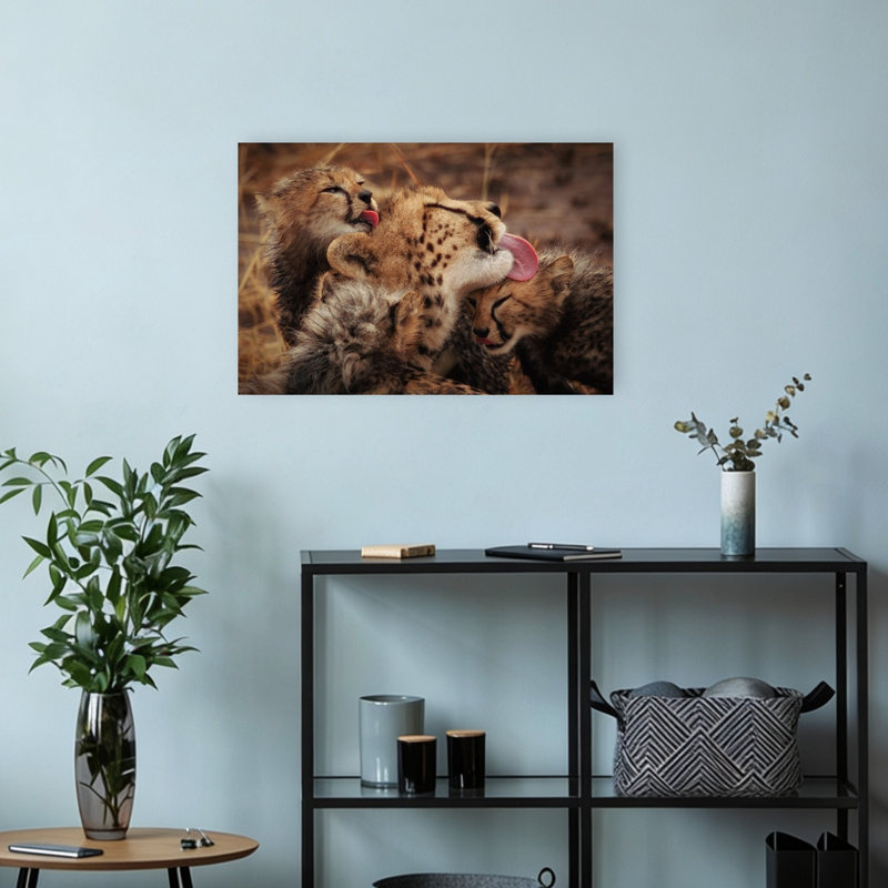 Mother Cheetah Licking Cub Playful Contemporary Cat Animal Nature Wall Art Print 1 Piece Wrapped Canvas Wall Art