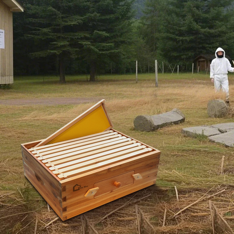 10 Frame Langstoth Medium Super Beehive Box, Honey Super Bee Box with Acrylic Window Dipped In 100% Beeswax, Wax Coated Bee Hive with Frames and Foundations Sheets for Beekeeping Supplement