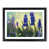 Black Framed selected