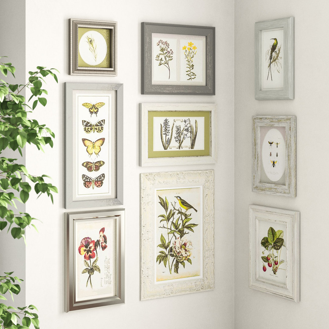 Botanical Collection - 9 Piece Picture Frame Graphic Art Print Set on Paper