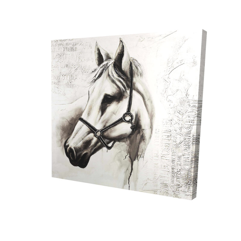Flicka le cheval blanc, toile de ferme