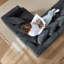 226cm L-Shape Gray Chenille Compression Modular Sectional Sofa, Reconfigurable Deep Seat Corner Couch with Matching Throw Pillows for Apartment Living Room