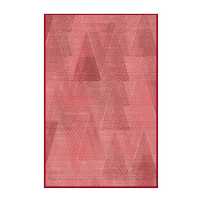 Indoor Rug