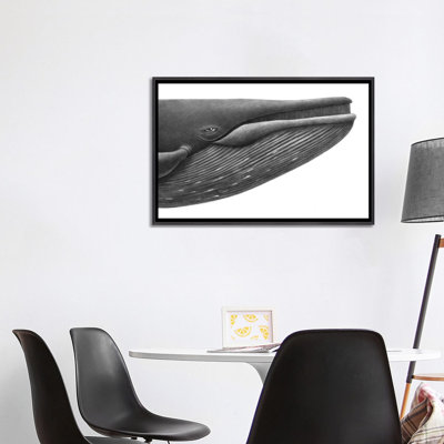 «Blue Whale Study» par Terry Fan - reproduction d'art