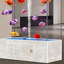 Aquarium 104-114 gallons-129873444