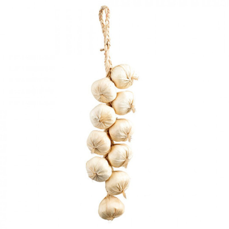 Bulbes d'ail suspendus, fruits artificiels
