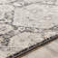 Chiszar Oriental Machine Woven / Power Loomed Area Rug-290565265