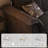 Black Polyester Modular Sofa cushion Loveseat