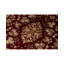 Oriental Area Rug