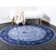 Godina Oriental Indoor Rug
