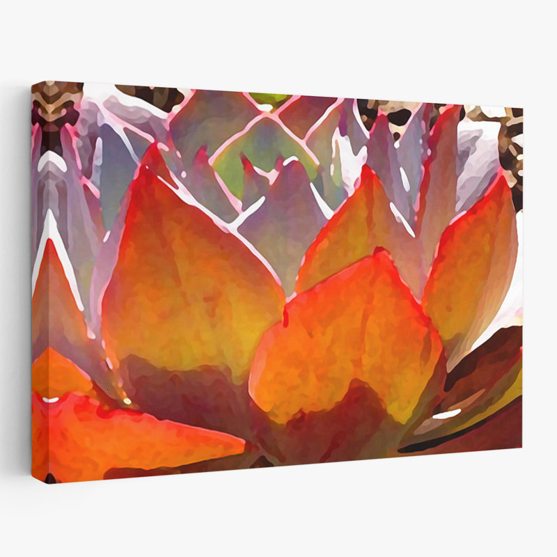 Plantes, fleurs, abstrait, paysage, nature, H 16 po x l 24 po