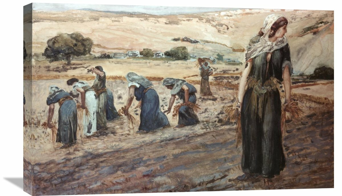 Ruth Gleaning On Canvas by James Tissot Print