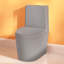 Toilette compacte monobloc allongée 12 po avec siège confortable ADA, hauteur 17,1 po, chasse double 1,1 / 1,6 GPF et carte 1000 g, conception compacte (siège inclus)-107232113