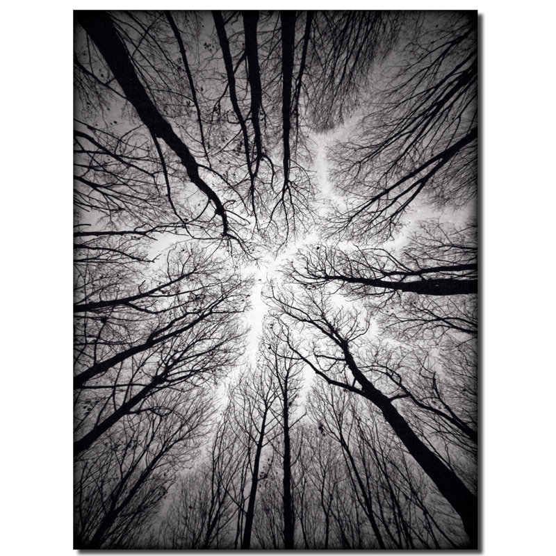 Plafond - impression d'art graphique, H 40 po x l 30 po, Toile tendue