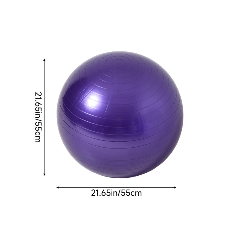 Anti-Burst Inflatable Exercise Ball, Pink