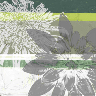 Graphique Blooms II