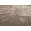 Tapis gris contemporain en laine botanique touffeté à la main de style oriental-1176255363