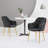 Dining Chairs Set, Accent Chair with Golden Legs and Padded Seat-2145917487