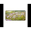 Polyester Desk Pad-1603197013